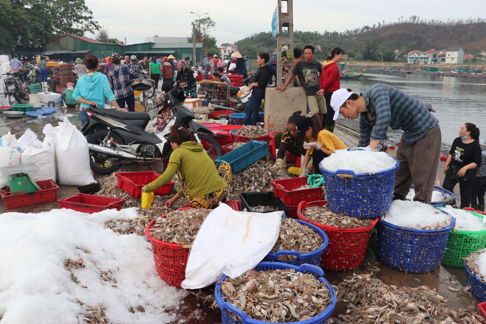 phiên chợ cá biển cửa hội