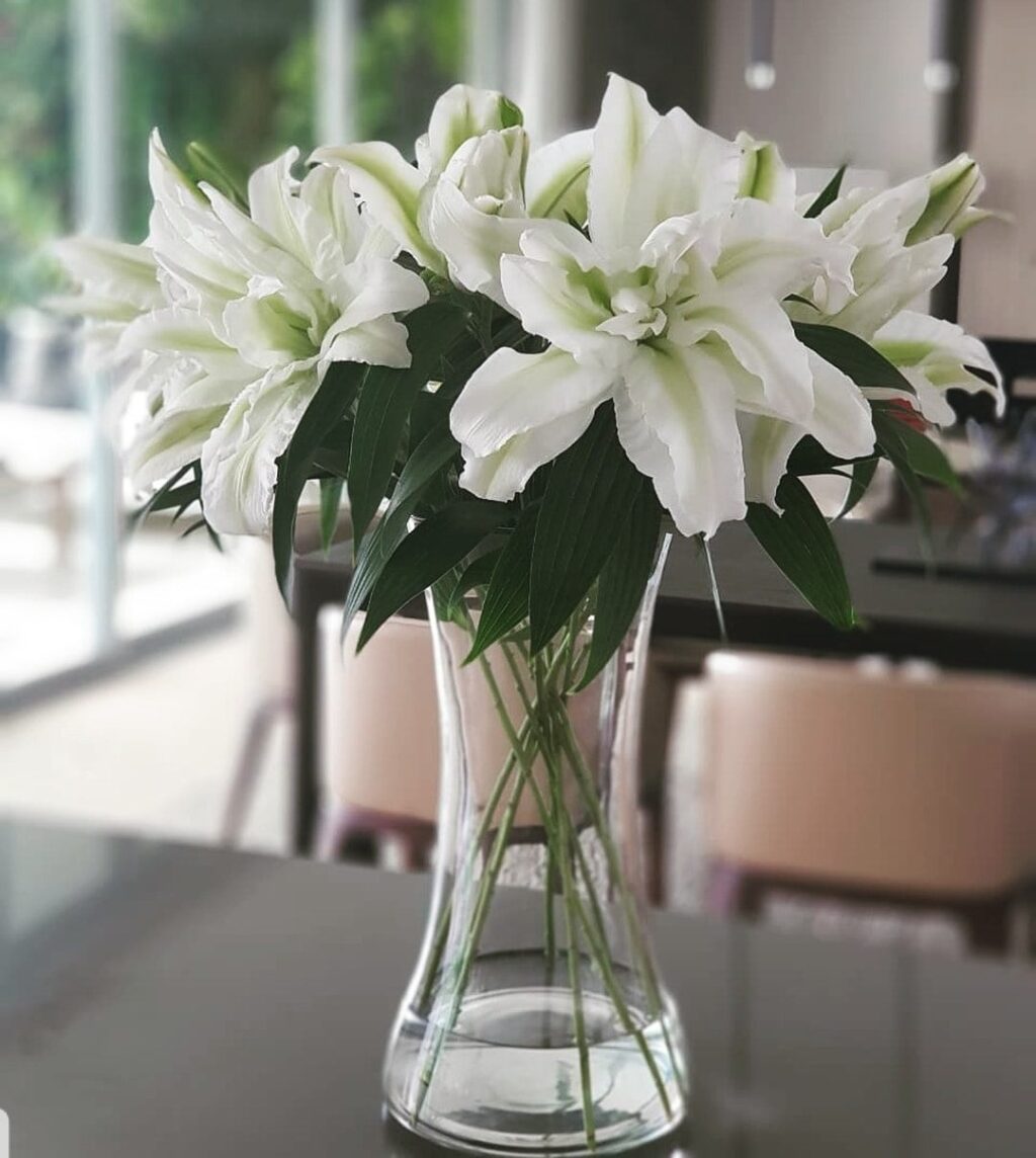 Hoa ly kép trắng có giá siêu đắt đỏ